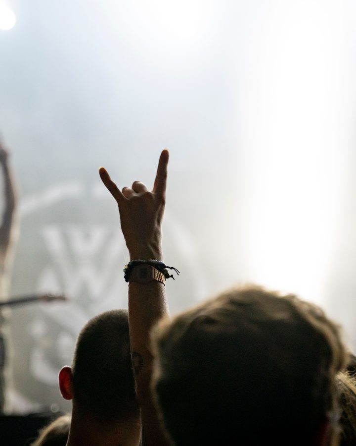 Fans cheering at a live show