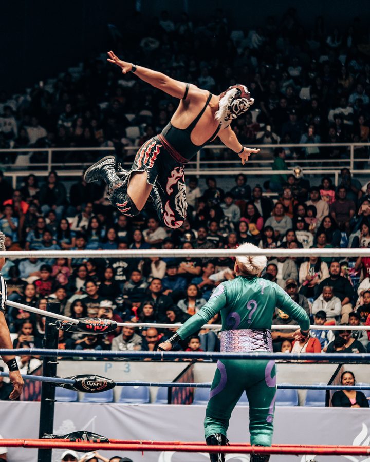Fans ringside at a live event